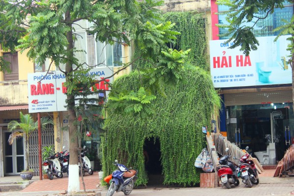 Ngôi nhà kỳ dị này nằm trên đường Khuất Duy Tiến (quận Thanh Xuân, Hà Nội). Điều đặc biệt của căn nhà phía trước được bao phủ cây xanh từ tầng 2 xuống. Chủ nhân của căn nhà độc này là ông Đinh Công Đoàn (sinh năm 1947).