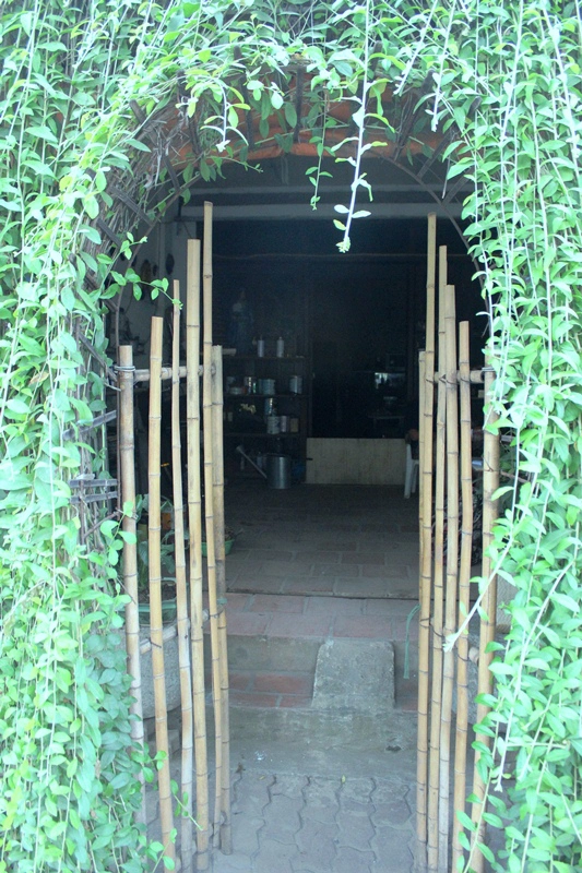 Chiếc cổng tre được bao bọc kín cây leo dẫn vào bên trong ngôi nhà.