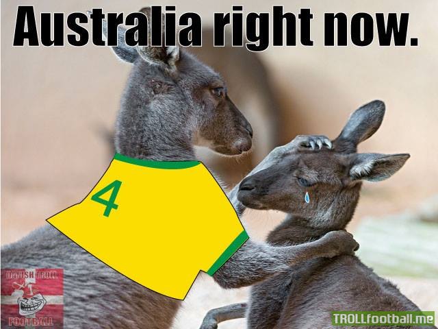 Các chú Kangaroo rất là buồn
