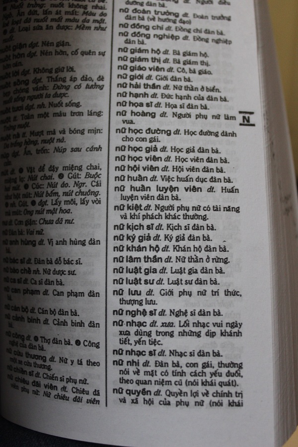 Tại 1 số cửa hàng sách, chúng tôi cũng tìm thấy những cách giải thích thô về nữ giới được in trong từ điển