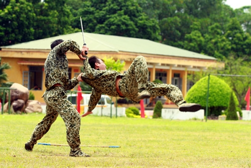 
Các tư thế đánh địch tay không, đánh địch có hung khí bằng các thế võ cận chiến, tiêu diệt địch nhanh gọn, đã một lần nữa tạo nên những “nét vẽ” đầy đủ về những chiến đấu viên “tinh nhuệ trong tinh nhuệ” của Bộ đội Đặc công 113.
