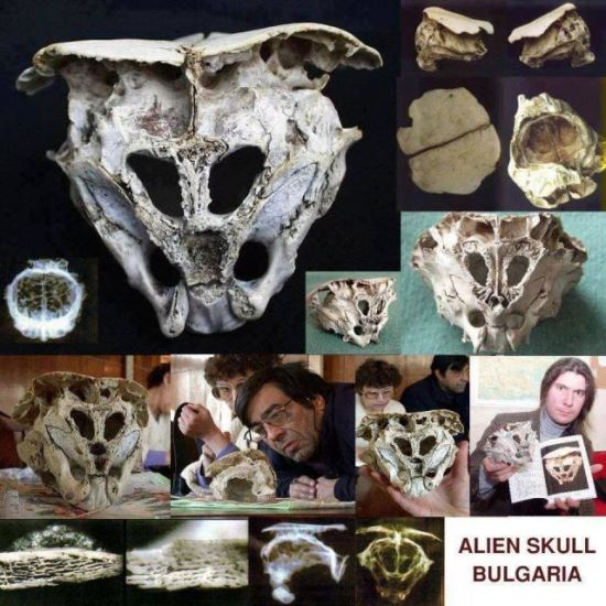 hộp sọ của  người ngoài hành tinh  được tìm thấy ở Bulgari