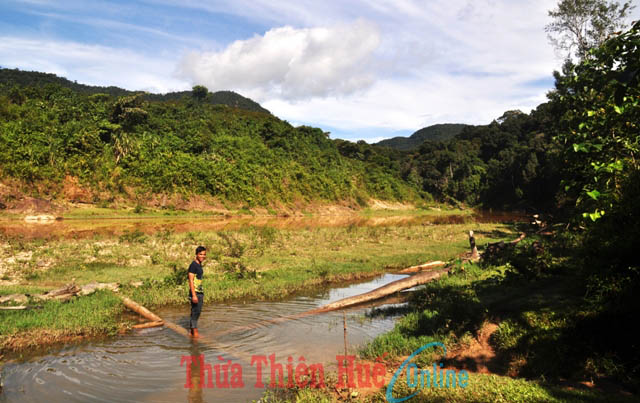 Khe suối A Lin, nơi người dân vô tình tìm thấy rùa vàng