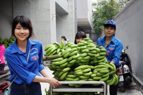 Sinh viên tình nguyện tham gia vận chuyển chuối cho khách hàng ở 23 Lạc Trung (Hai Bà Trưng, Hà Nội)