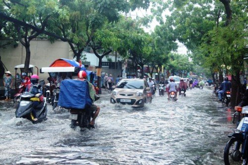 mưa lớn, đường phố Sài Gòn, ngập lênh láng, nước thối