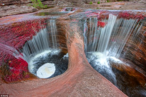 
Sông Caño Cristales, thuộc công viên quốc gia Serrania de la Macarena ở miền Trung Colombia, được biết đến như một trong những dòng sông đẹp nhất thế giới với dòng chảy có màu sắc sặc sỡ biến đổi theo mùa. Vào những tháng nhất định trong năm, nó sẽ mang những màu sắc khác nhau, tạo nên một cảnh sắc tuyệt đẹp.
