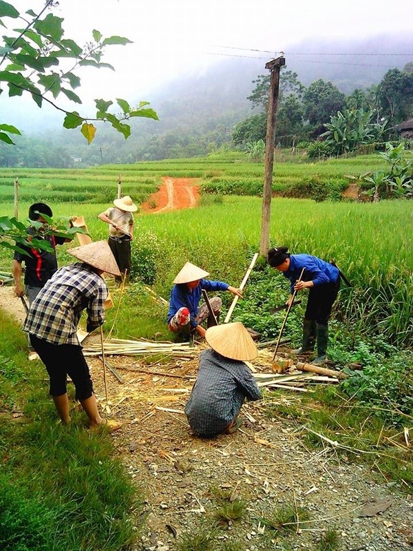 
Những người phụ nữ đang tập trung lại và hăng say chẻ tre - (Ảnh: Facebook D.A)
