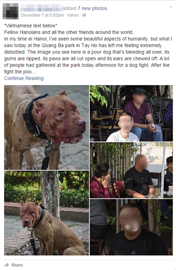 Tâm thư cảnh báo của một người đàn ông Mỹ về nạn chọi chó đang được chia sẻ trên nhiều diễn đàn mạng - (Ảnh chụp màn hình).