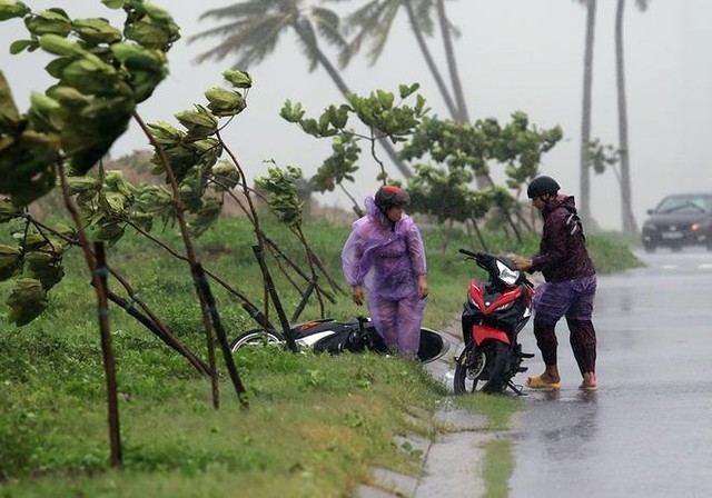 
Bão số 3 đổ bộ vào Quảng Nam - Quảng Ngãi ngày 14/9 có lượng mưa vào khoảng 200mm, gió giật cấp 9, cấp 10 khiến xe máy của người đi đường bị quật ngã. Ảnh: Nguyễn Đông/Tuổi trẻ
