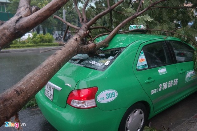 Chiếc taxi bị cây xanh ngã đè lên lúc trước cổng ĐH Duy Tân - Đà Nẵng. Ảnh: Đoàn Nguyên/Zing.vn