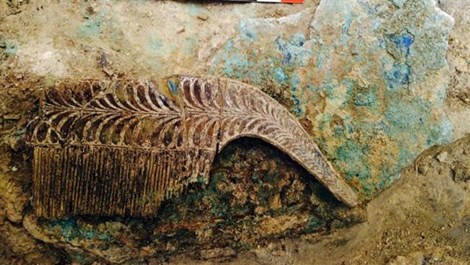 
 Chiếc lược bằng ngà voi được tìm thấy cùng với bộ xương 3.500 tuổi tại vùng Peloponeese của Hy Lạp.
