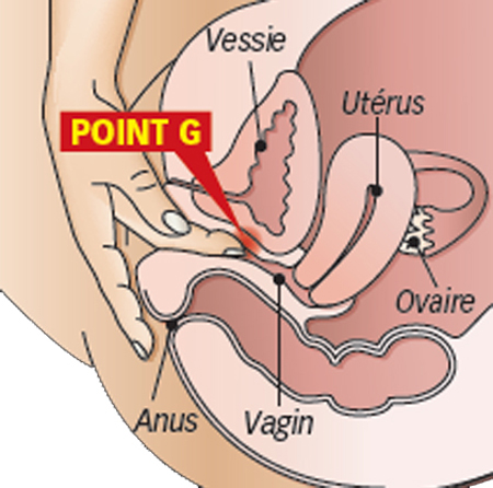 Khi điểm G được kích thích sẽ tạo ra khoái cảm