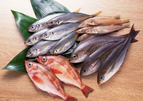 
Người mắc các bệnh rối loạn chức năng máu và hay bị xuất huyết như thường xuyên bị chảy máu mũi, suy giảm tiểu cầu, xuất huyết trong do thiếu vitamin K… không nên ăn cá. Ảnh minh họa.
