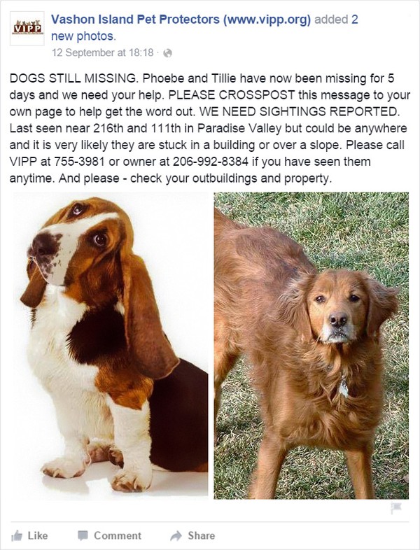Mẩu thông báo mất tích của hai chú chó săn trên mạng xã hội. 