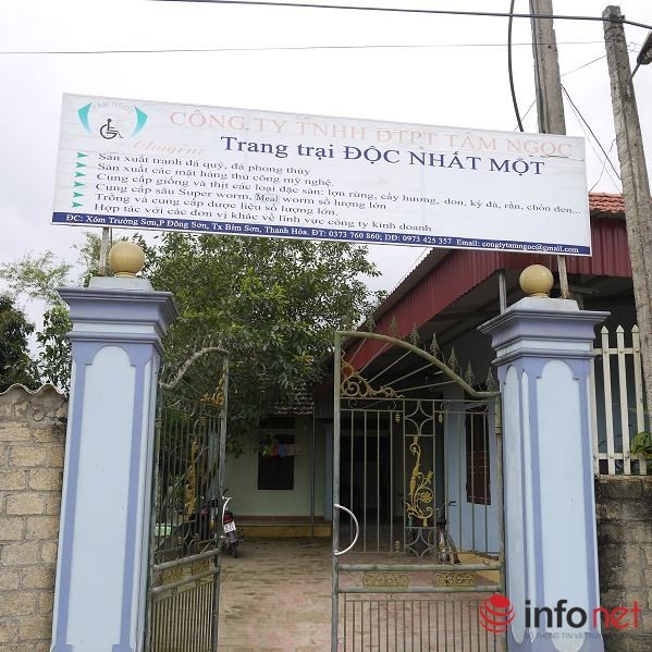 Trang trại Độc nhất một nằm tọa lạc trên một diện tích đất rộng gần 2.000m2.