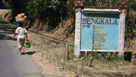 
Ngôi làng Bangkala được coi là ngôi làng yên tĩnh nhất thế giới. Ảnh: Oddity Central
