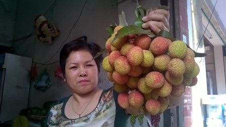 Ha Noi: Vai thieu dau mua “het” gia 90.000 dong/kg