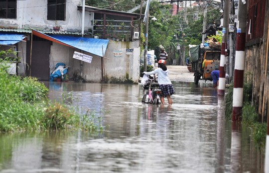 Đến chiều 24-10, khu dân cư ở khu phố 6, phường Hiệp Bình Phước, quận Thủ Đức vẫn mênh mông nước dù mưa đã dứt gần 24 giờ