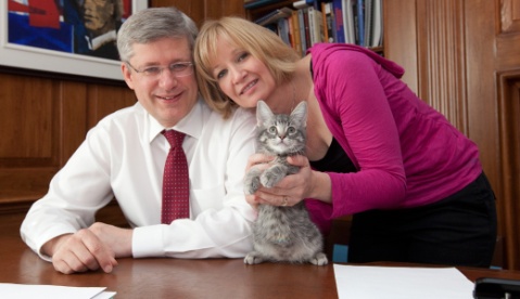 Gia đình Cựu Thủ tướng Stephen Harper nổi tiếng yêu mèo