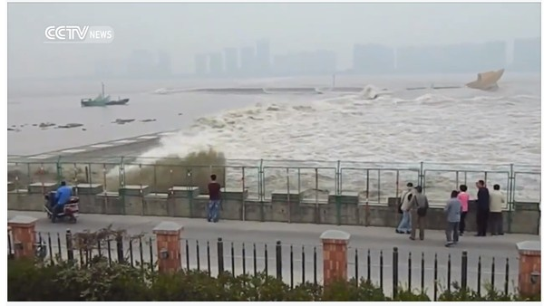 
Nhiều du khách vô tư đứng xem thủy triều lên.
