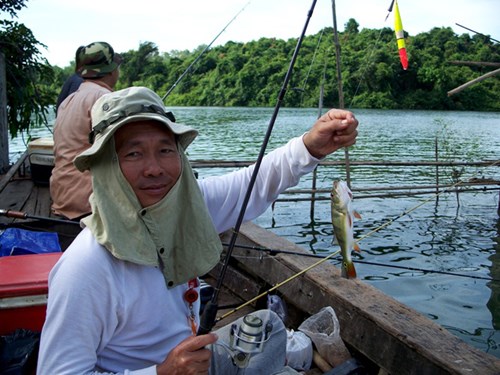 
Cá hoàng đế ở hồ Trị An, Đồng Nai. Ảnh: hoiquanbancau.vn.
