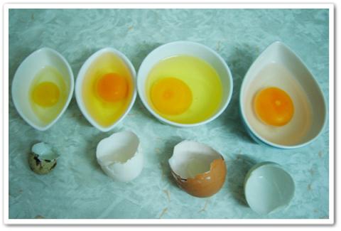 Trứng chim cút có hàm lượng sắt và vitamin A gấp 3 lần trứng gà, trong khi đó cholesteron lại chỉ bằng 1/3 