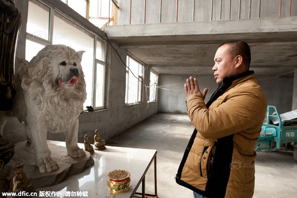 
Mùa đông sắp tới, Wang Yan không biết liệu có thể lo cho hàng trăm con chó được ấm áp hay không.
