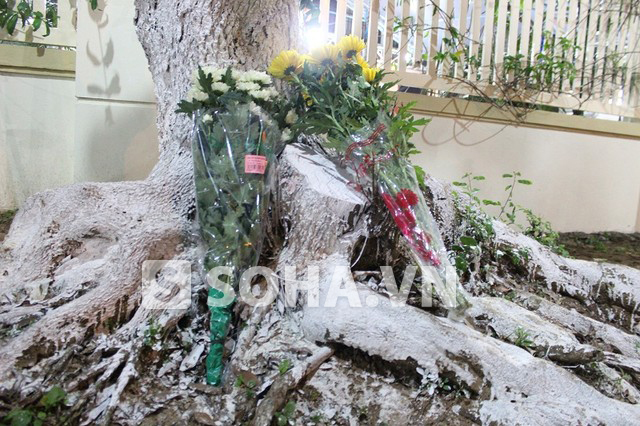 Người dân không được vào làm lễ viếng vào tối 13/2 nên để hoa ở gốc cây bên ngoài lan can nhà ông Nguyễn Bá Thanh.
