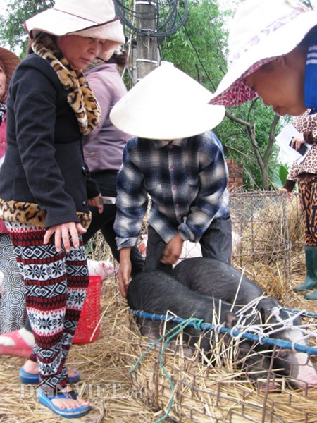 Muu sinh bang nghe... be “Thien Bong nguyen soai”