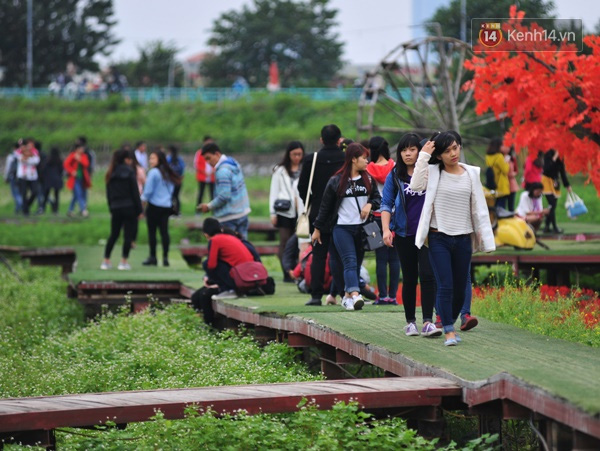  Trời về sẩm tối nhưng nhiều lối đi tại vườn luôn đông người qua lại. Nhiều bạn trẻ cho biết, tuy thung lũng hoa chưa thực sự rực rỡ nhưng là ngày đầu miễn phí nên đã cố gắng để lên đây chụp ảnh vì nếu cuối tuần thì lượng người đổ về đông, khó mà chen chân để chụp.