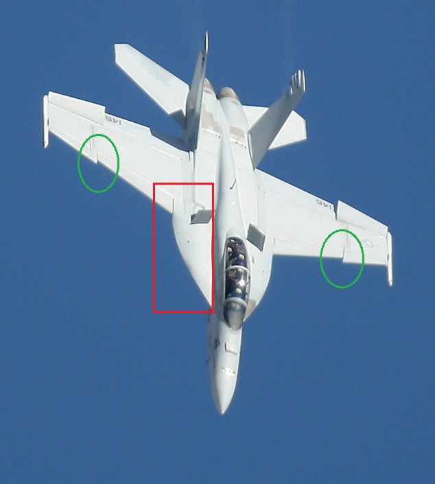 Gốc cánh kéo dài được mở rộng và có hình dạng tương tự như gốc cánh kéo dài của YF-17 Cobra, không gấp khúc như các phiên bản Hornet trước đó (Khoanh vuông đỏ),  “răng chó” – một cạnh sắc được thiết kế trên mép cánh tà trước của máy bay (khoanh tròn xanh)