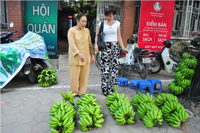 
Bà Phạm Thị Liên (áo vàng) chia sẻ, bà mua 5 buồng chuối về vừa để ăn vừa để biếu anh em, họ hàng.
