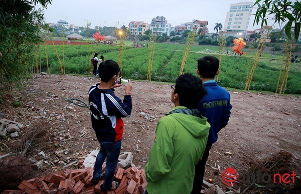 Anh Hiếu cũng cho biết thêm: Do lượng người vào xem quá đông mà nhân viên của thung lũng hoa quá ít, không kiểm soát nổi nên mặc dù không muốn nhưng chúng tôi vẫn phải đóng cửa vườn hoa để sửa chữa, bây giờ khách có muốn vào xem cũng chẳng còn gì.