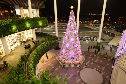 
Cây thông Neol ở Aeon Mall
