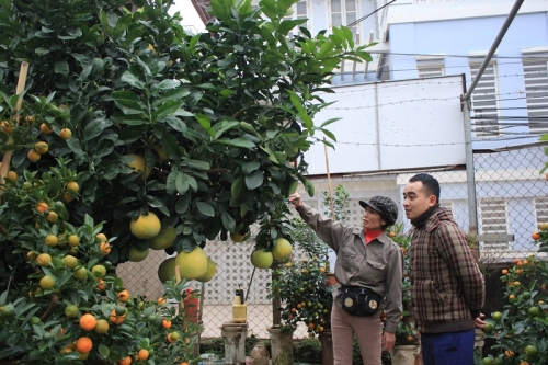 Mặc dù có nhiều khách trả giá cao nhưng gia đình ông Mạnh quyết không bán.