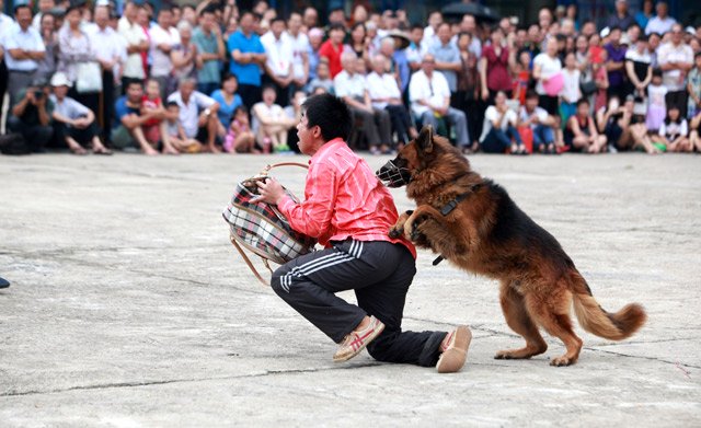 xem cho nghiep vu tim ma tuy, danh hoi nguoi o thu do - 11