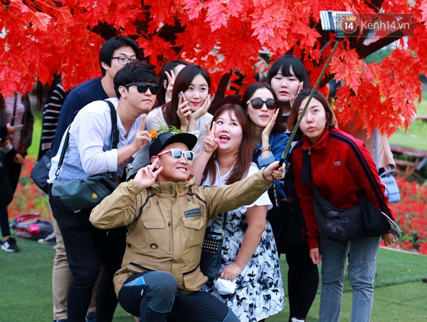 Một nhóm du khách Hàn Quốc thích thú tạo dáng với vườn hoa muôn sắc màu tại đây.