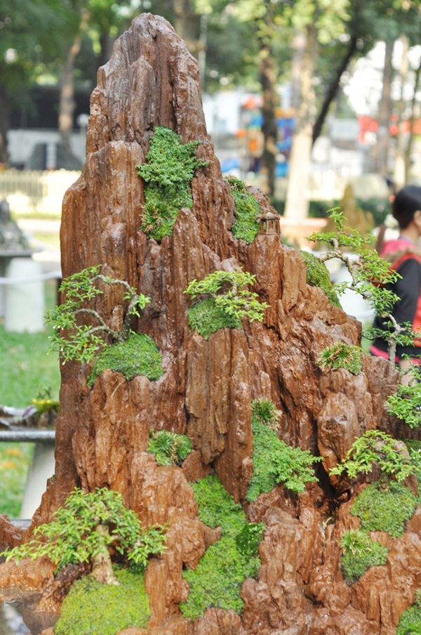 Chiêm ngưỡng những “ngọn núi” giữa trung tâm Sài Gòn - 5