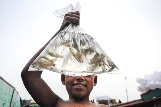 Cậu bé khoe túi cá bắt được ở Dhaka, Bangladesh.