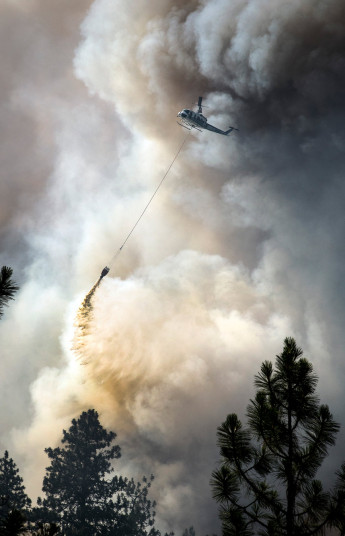 Trực thăng thả nước để dập tắt một đám cháy rừng gần Cheney, Washington, Mỹ.