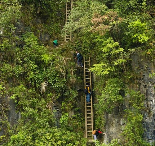 
Những chiếc thang được dựng đứng bên vách đá là con đường duy nhất đến trường của những đứa trẻ ở làng Zhang Jiawan, miền nam Trung Quốc
