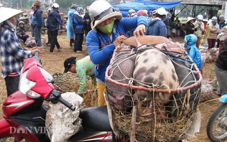 Muu sinh bang nghe... be “Thien Bong nguyen soai”