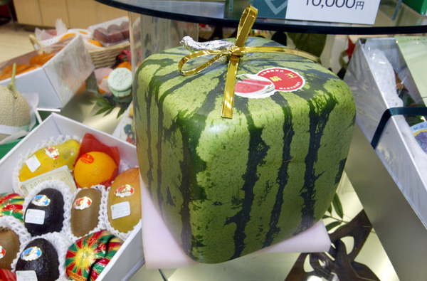 
Thứ quả đặc sản ở Nhật Bản được bán rất nhiều trong các chuỗi siêu thị vì sự độc đáo và sáng tạo của mình.
