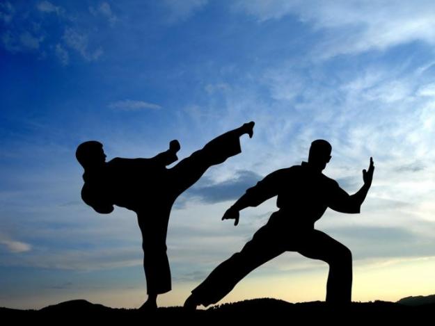 Võ thuật Karate Kata Hình ảnh minh họa  Võ karate png tải về  Miễn phí  trong suốt Dòng Nghệ Thuật png Tải về