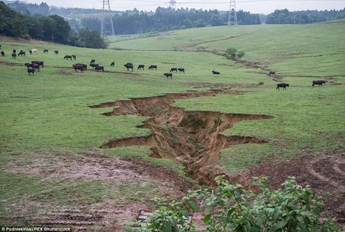 Mặt đất nứt toác sau cơn động đất.