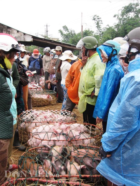 Muu sinh bang nghe... be “Thien Bong nguyen soai”