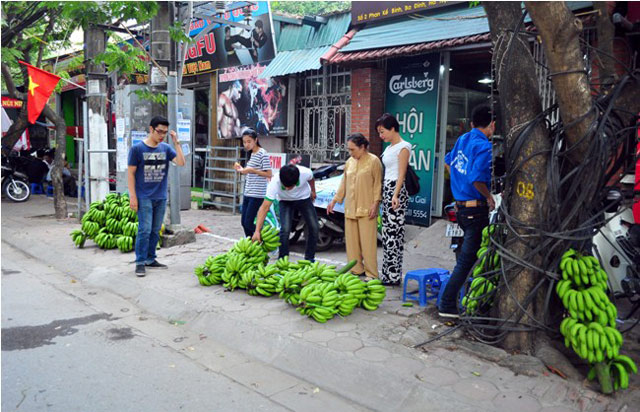 
“Được đông đảo người dân ủng hộ, chúng tôi sẽ tiếp tục thu mua và tiêu thụ chuối giúp bà con Vĩnh Phúc”,  chị Trang chia sẻ.
