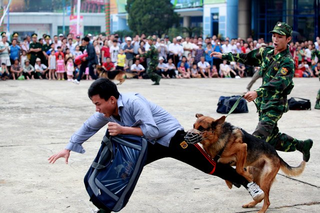 xem cho nghiep vu tim ma tuy, danh hoi nguoi o thu do - 15