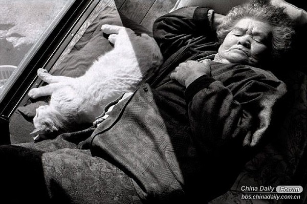 Cháu gái dành nửa thế kỷ chụp bà nội và mèo cưng