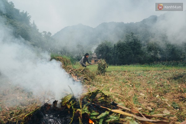 
Những chiều hè nghi ngút khói vì người dân đốt bỏ rơm rạ, xác ngô sau vụ thu hoạch, bổ sung chất dinh dưỡng cho đất để chuẩn bị gieo trồng vụ mới.
